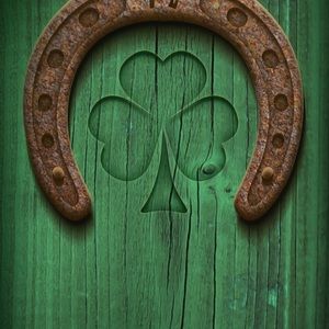 Meet your Posher, Mireya